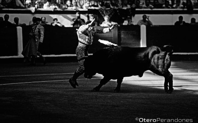 VISUALIZO-TOROS05